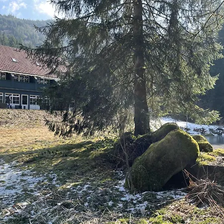 Somewhere Elz - Luxus Fuer Bis Zu 38 Gaeste * Elzach